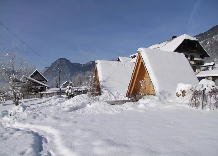 营地 Garden Eco Cebelica